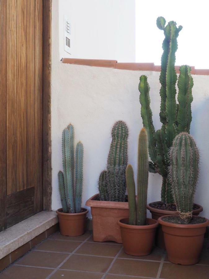Casa Alejandro Las Vistas 阿罗纳 外观 照片